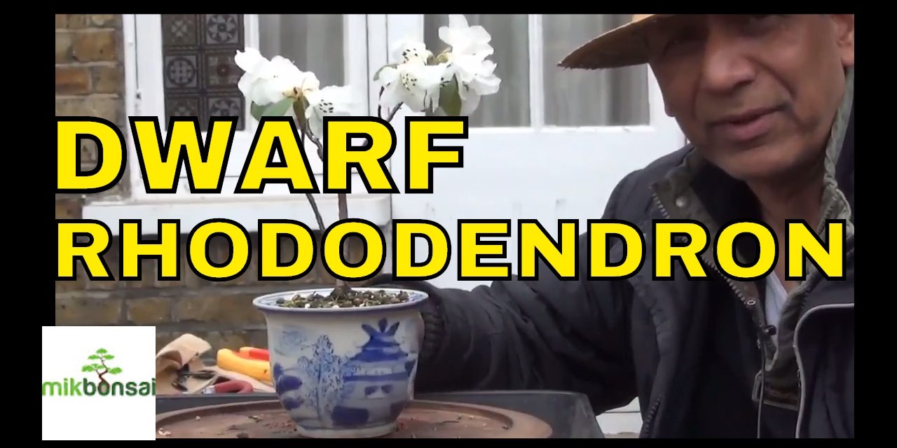 1502927298_maxresdefault.jpg